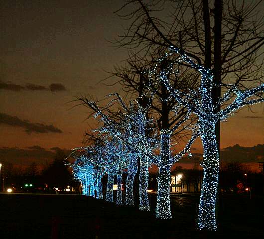 christmas-lights-home-decoration15