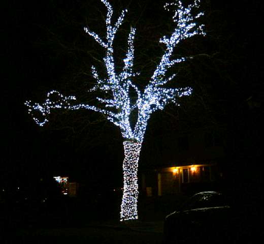 Christmas Lights Installation Landscaoe